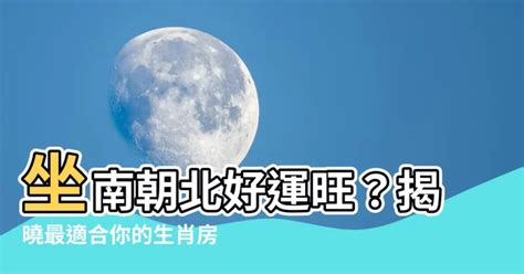 座南朝北生肖|生肖吉祥方位宜忌指南｜掌握您的年度幸運方